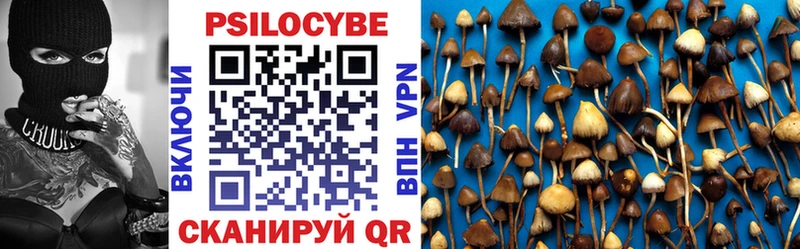 Галлюциногенные грибы Cubensis ОМГ ОМГ онион Старица где купить наркоту